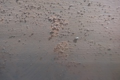 L1180326