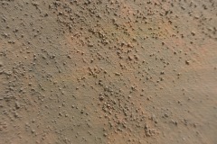 L1180334