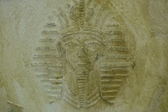 L1180288