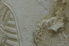 L1180296