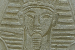 L1180298