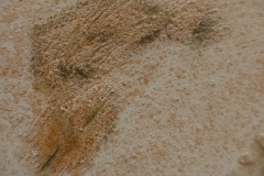 L1180299