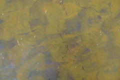 L1180311